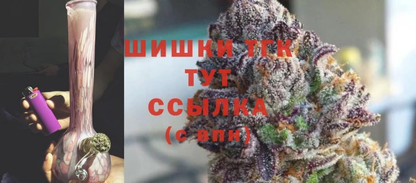 СК Рославль
