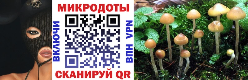 Псилоцибиновые грибы ЛСД  Купить закладки  Сосновый Бор 